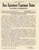 Sulphuring Dried Peaches