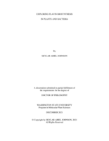 EXPLORING FLAVIN BIOSYNTHESIS  IN PLANTS AND BACTERIA