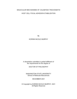 Molecular mechanisms of Chlamydia trachomatis host cell focal adhesion stabilization