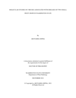 MOLECULAR STUDIES ON VIRUSES ASSOCIATED WITH DISEASES OF TWO SMALL FRUIT CROPS IN WASHINGTON STATE