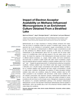Impact of Electron Acceptor Availability on Methane-Influenced Microorganisms in an Enrichment Culture Obtained From a Stratified Lake