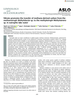 Nitrate promotes the transfer of methane-derived carbon from the methanotroph Methylobacter sp. to the methylotroph Methylotenera sp. in eutrophic lake water