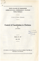 Control of Cannibalism in Chickens