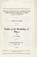 Studies on the Morphology of Wheat