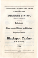 Blackspot Canker