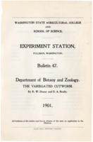 The Variegated Cutworm