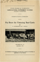 Pea Straw for Fattening Beef Cattle