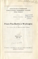 Potato Flea-Beetles in Washington