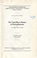 The Verticillium Disease of Chrysanthemum