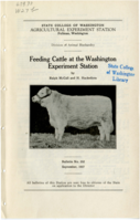 Feeding Cattle at Washington Experiment Station