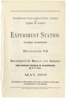 The Russian Thistle in Washington