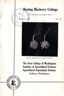 Rooting Blueberry Cuttings