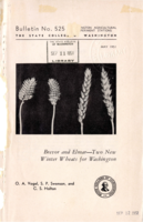 Brevor and Elmar: Two New Winter Wheats for Washington