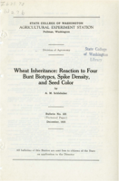 Wheat Inheritance: Reaction to Four Bunt Biotypes, Spike Density, and Seed Color