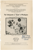 The Ustilaginales or "Smuts" of Washington