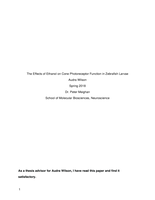 The Effects of Ethanol on Cone Photoreceptor Function in Zebrafish Larvae
