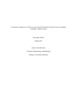 A Genomic Comparison of Theileria equi to the Novel Parasite Theileria haneyi to Identify Candidate Virulence Genes