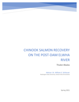 Chinook Salmon Recovery on the Post-Dam Elwha River