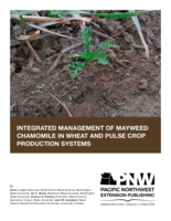 Integrated Management of Mayweed Chamomile in Wheat and Pulse Crop Production Systems
