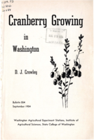 Cranberry Growing in Washington