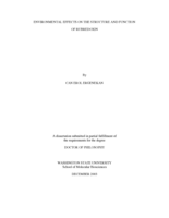 Environmental effects on the structure and function of rubredoxin