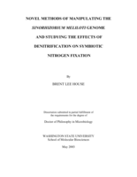 Novel methods of manipulating the Sinorhizobium meliloti genome and studying the effects of denitrification on symbiotic nitrogen fixation