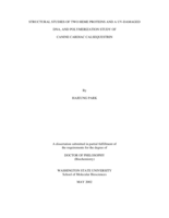 Structural studies of two heme proteins and a UV-damaged DNA, and polymerization study of canine cardiac calsequestrin