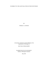 Flexibility in the light reactions of photosynthesis