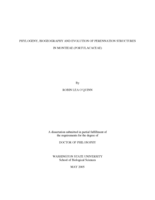 Phylogeny, biogeography and evolution of perennation structures in montieae (Portulacaceae)