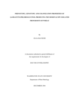 Phenotypic, genotypic and colonization properties of 2,4-diacetylphloroglucinol-producing Pseudomonas spp. isolated from roots of wheat