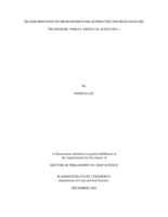 Transformation of microspores for generating doubled haploid transgenic wheat (Triticum aestivum L.)