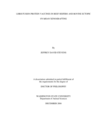 LHRH fusion protein vaccines in beef heifers and bovine ectopic ovarian xenografting
