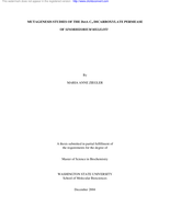 Mutagenesis studies of the DctA CG dicarboxylate permease of Sinorhizobium meliloti