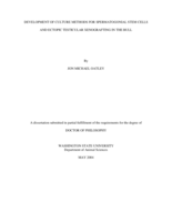Development of culture methods for spermatogonial stem cells and ectopic testicular xenografting in the bull