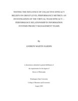 Testing the influence of collective efficacy beliefs on group level performance metrics: An investigation of the virtual team efficacy: Performance relationship in information systems project management teams