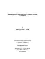 Molecular and genetic influence of HMGA1 proteins on nucleotide excision repair