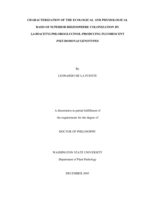Characterization of the ecological and physiological basis of superior rhizosphere colonization by 2,4-diacetylphloroglucinol-producing fluorescent Pseudomonas genotypes