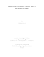 Bidding strategy and empirical analysis of bidding in electrical power market