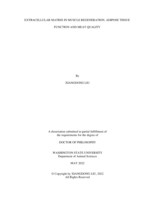EXTRACELLULAR MATRIX IN MUSCLE REGENERATION, ADIPOSE TISSUE FUNCTION AND MEAT QUALITY