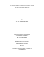 EXAMINING THE REGULATION OF DNA EXCISION REPAIR AND MUTAGENESIS IN CHROMATIN