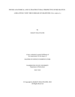 PHYSIO-ANATOMICAL AND ULTRASTRUCTURAL PERSPECTIVE OF RED BLOTCH --A RELATIVELY NEW VIRUS DISEASE OF GRAPEVINE (Vitis vinifera L.)
