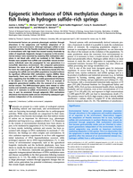Epigenetic inheritance of DNA methylation changes in fish living in hydrogen sulfide–rich springs