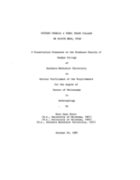 Pottery Pueblo: A Tsegi phase village on Paiute Mesa, Utah