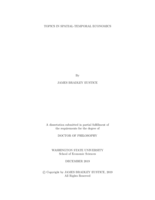 Topics in Spatial-Temporal Economics