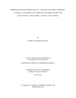 Prednisone-induced resistance in canine multicentric lymphoma: A clinical and molecular approach to understanding the role of NR3C1, ABCB1 (MDR1), 11B-HSD1, and 11B-HSD2