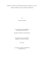 Chemical control of rush skeletonweed (Chondrilla juncea L.) during summer fallow in eastern Washington