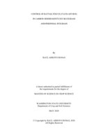 Control of rattail fescue (Vulpia myuros) in carbon-seeded Kentucky bluegrass and perennial ryegrass