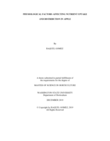 Physiological factors affecting nutrient uptake and distribution in apple