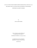An evaluation of bone marrow-derived mesenchymal stem cells as a treatment for collagenase induced desmitis of the proximal suspensory ligament in horses