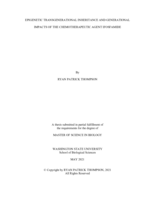 Epigenetic transgenerational inheritance and generational impacts of the chemotherapeutic agent ifosfamide